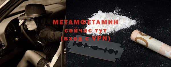 прущие грибы Киселёвск