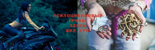 скорость Кирс