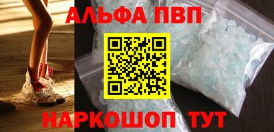 СК Бердск