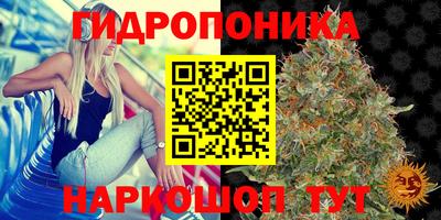 тгк Белореченск
