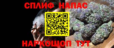 тгк Белореченск