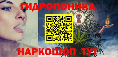 СК Бердск