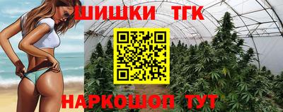 СК Бердск