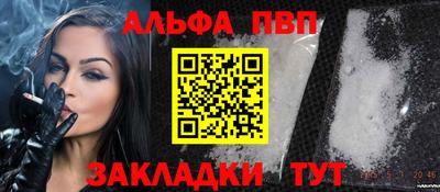 СК Бердск