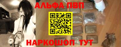 СК Бердск
