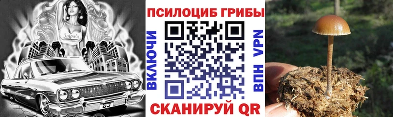 kraken сайт  Гулькевичи  Псилоцибиновые грибы Psilocybine cubensis  дарнет шоп 