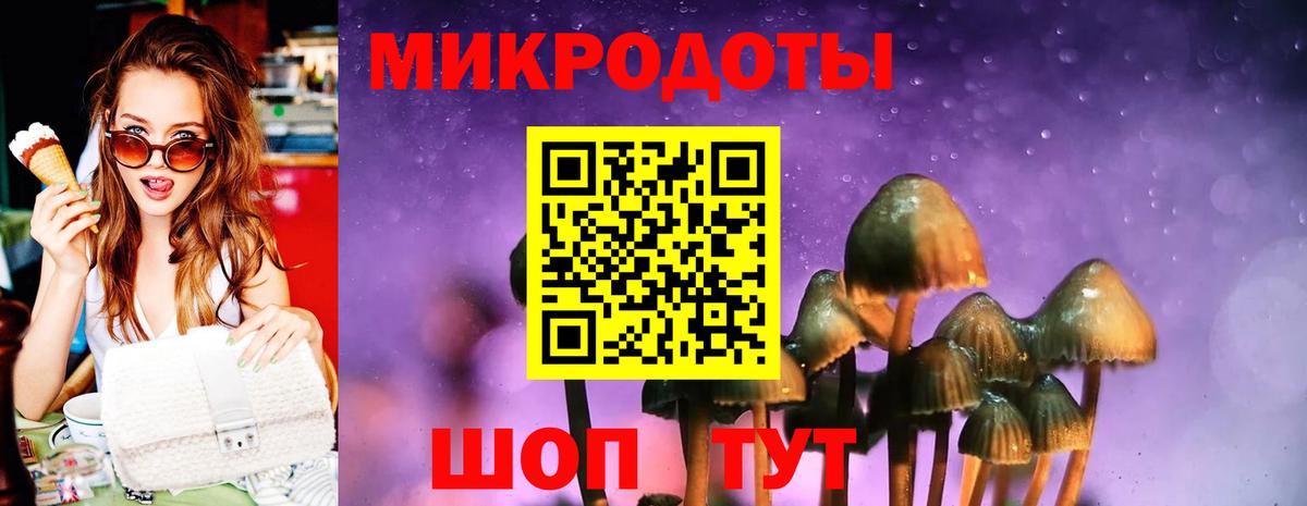 Галлюциногенные грибы Magic Shrooms Гулькевичи